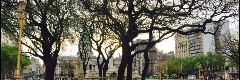 Bernardita Fait banner