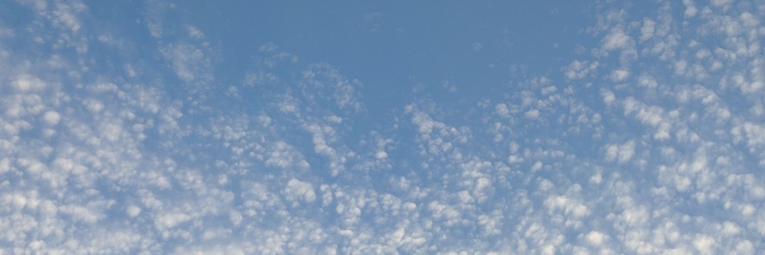 chiini's profile banner image