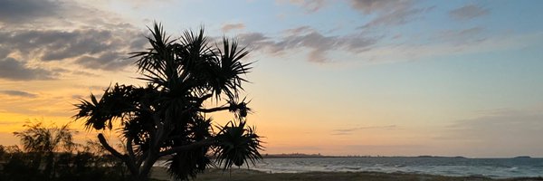 Peacemaker811 Profile Banner