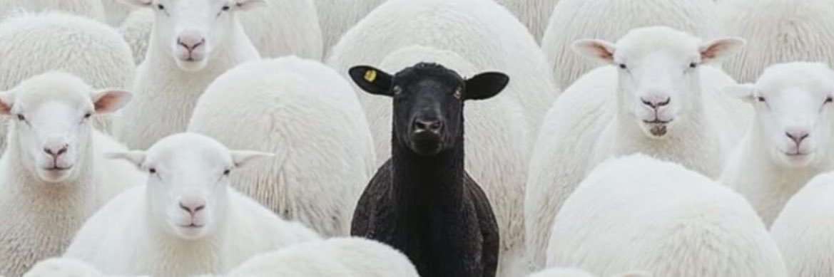 Nayson Randolph banner