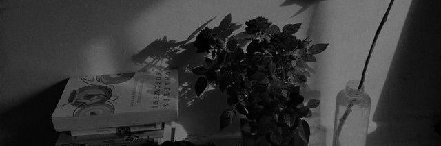𝘀𝘀𝗮𝗺 banner