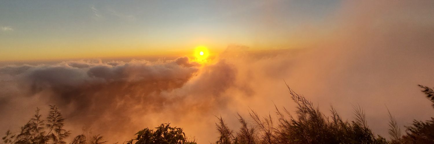 Suaa31's profile banner image