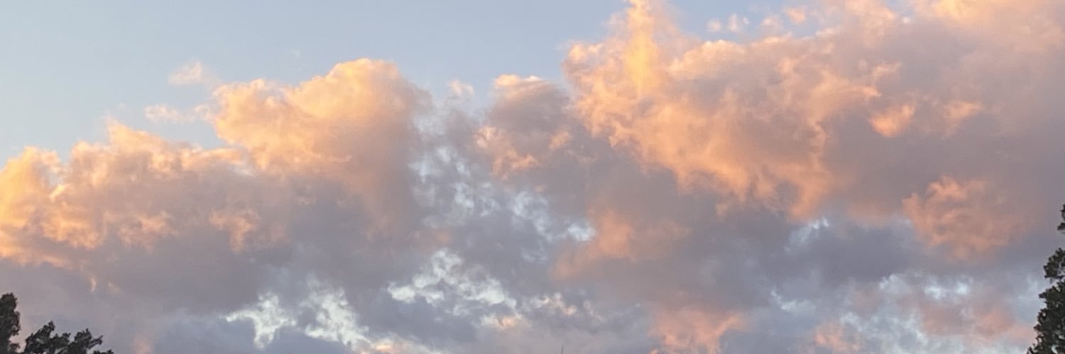 Carmen gea🦦 banner