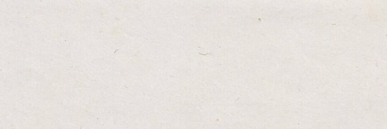 mamo1929's profile banner image