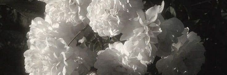 _K0tt0_'s profile banner image
