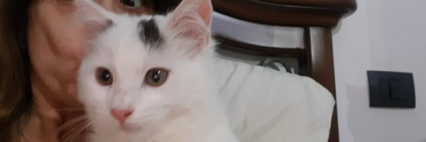 EStradini Profile Banner