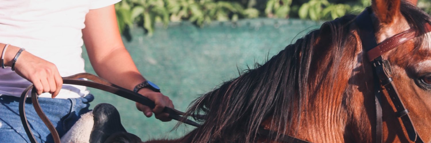 Gabrii 🍂 banner