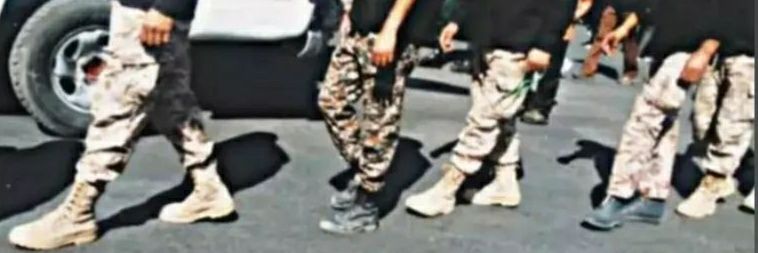 ali313👑 banner