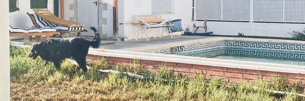 ContraDiscosVLC Profile Banner