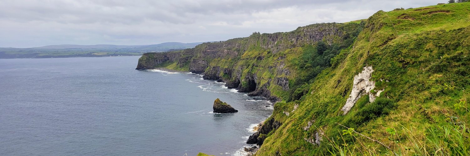 Lina C, Pro-choice Birthmother banner