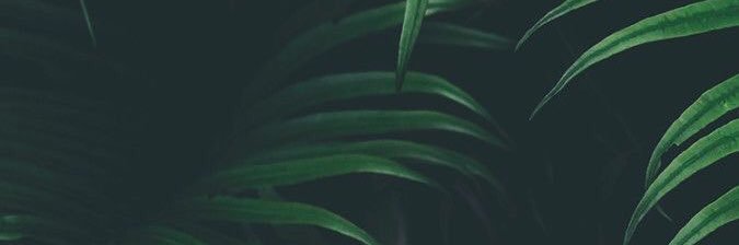 tippapaa's profile banner image