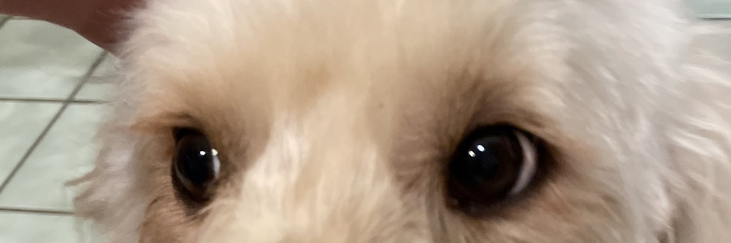 Dannercial banner