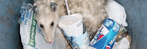 clown outlet store 🤡 banner