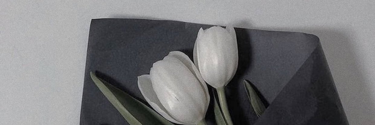 icevweerada's profile banner image