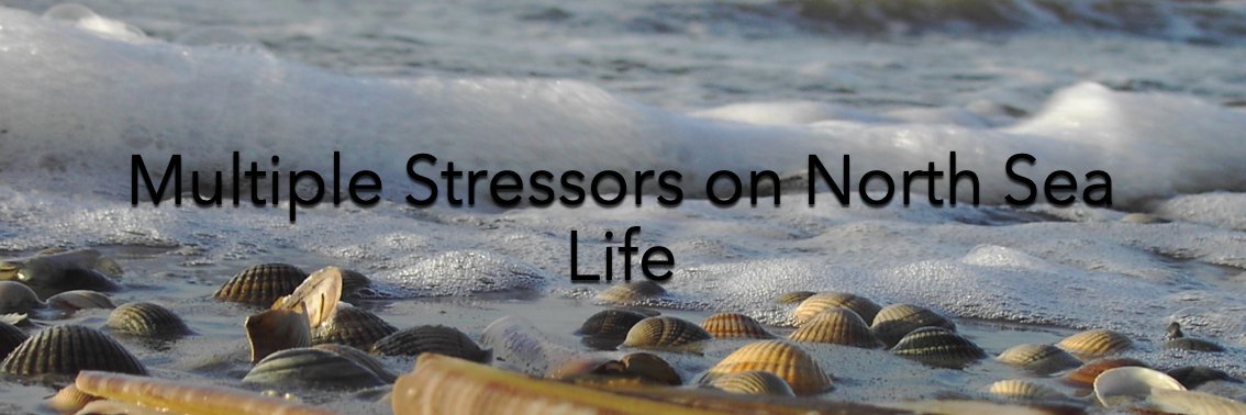musselproject banner