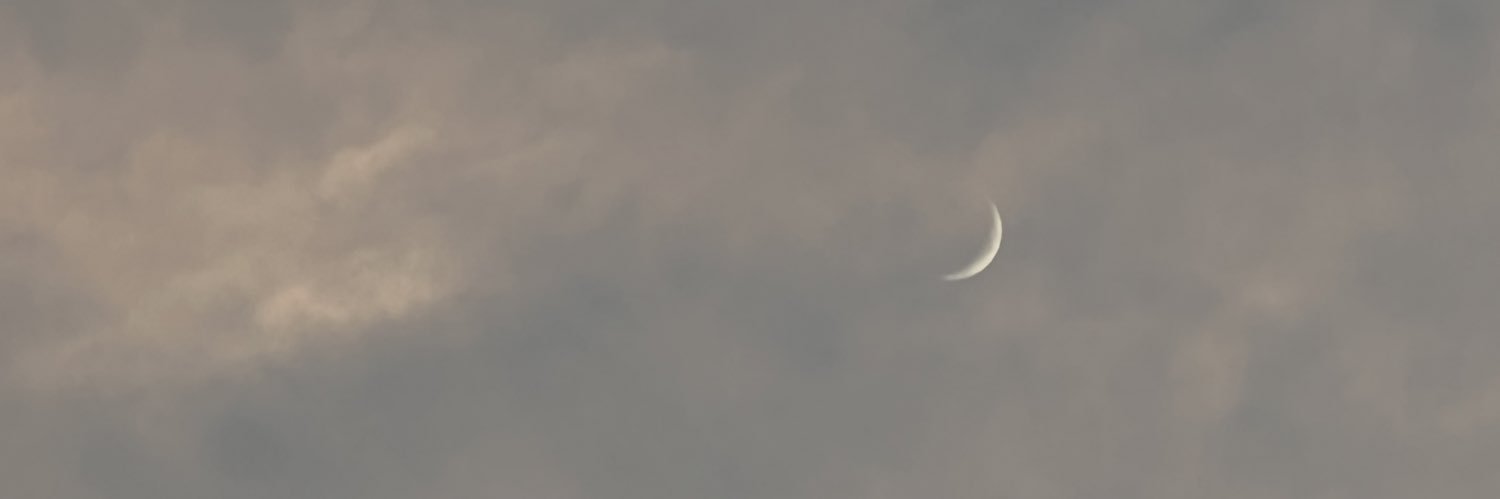 lunalols's profile banner image