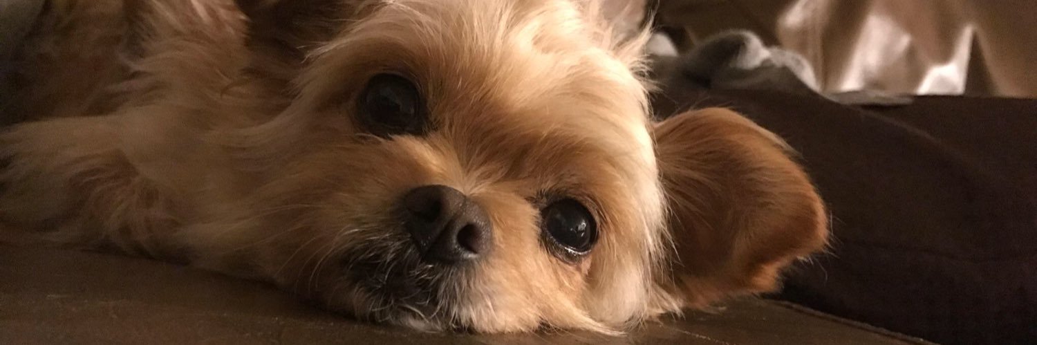 j0cmramos's profile banner image