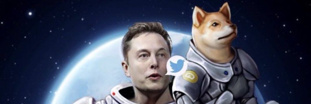 Gaurswap1's profile banner image