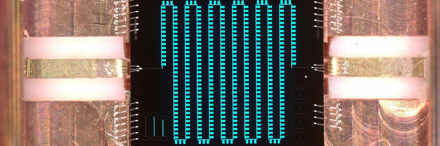 Marco Scigliuzzo banner