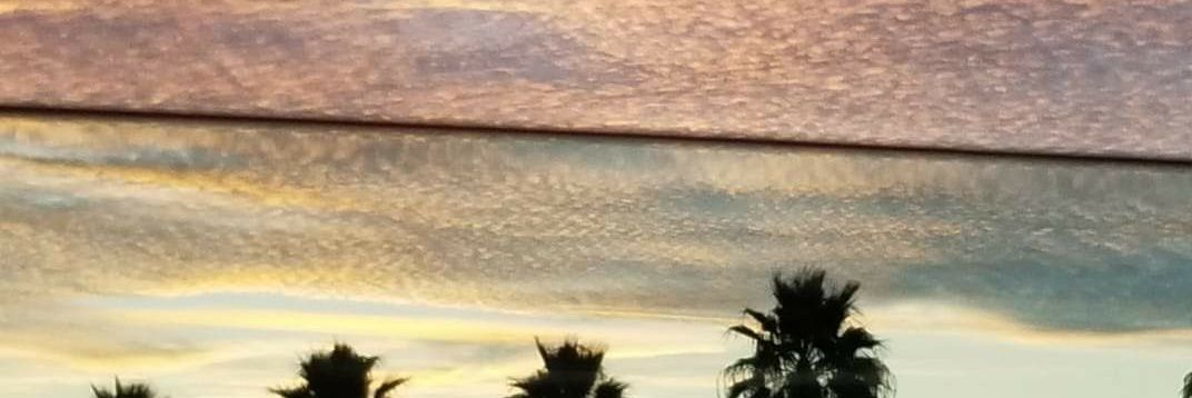 on the hunt with papajon and olaf banner