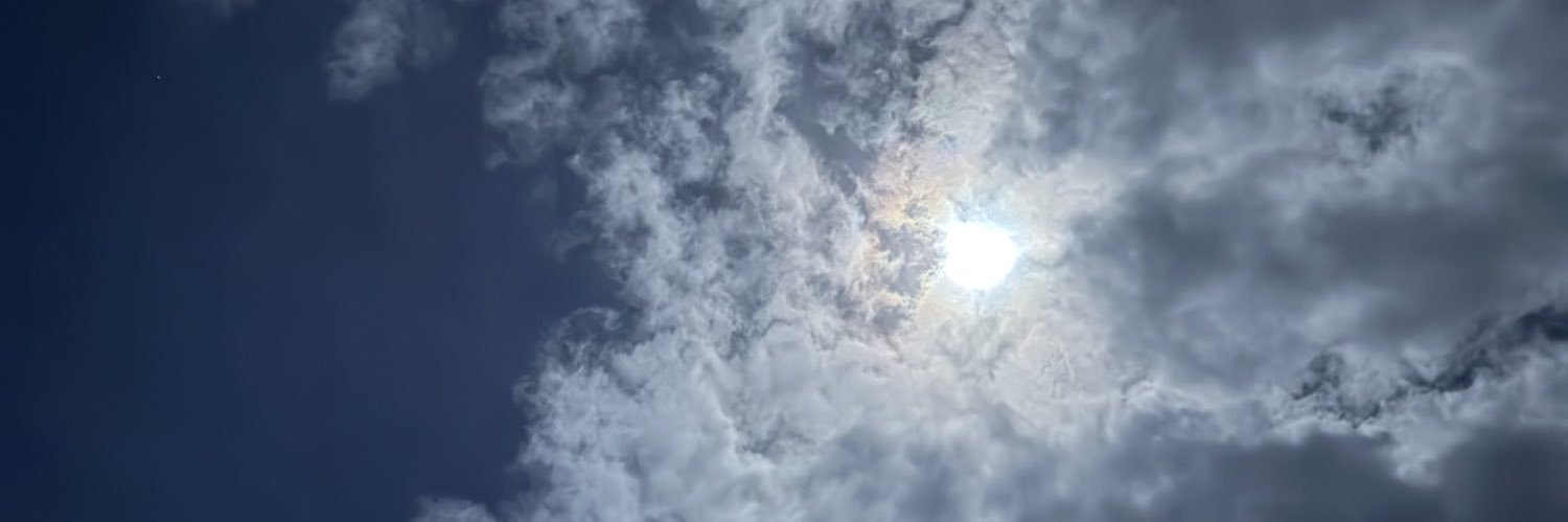 PhoenixJadeXO's profile banner image
