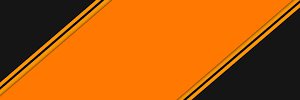 Princeton Area Alum banner