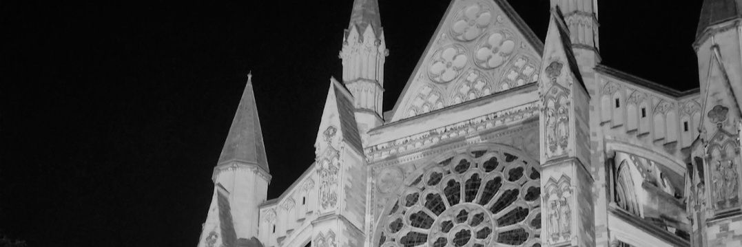 pedro ☕️| NO JARDIM DOS ACASOS banner