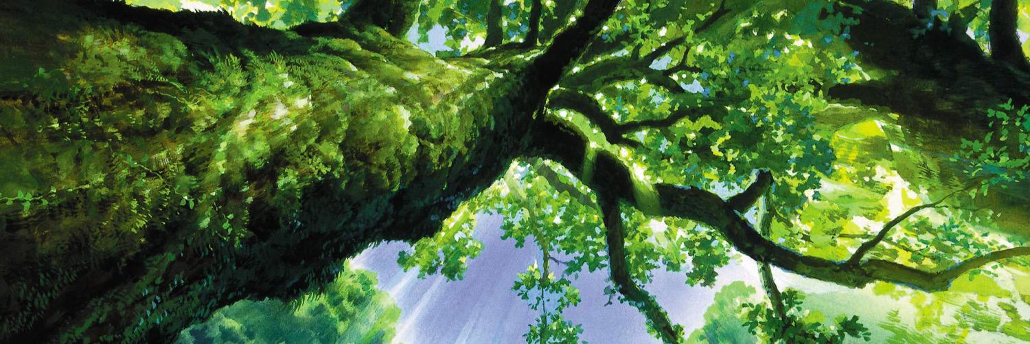 sakefrog's profile banner image