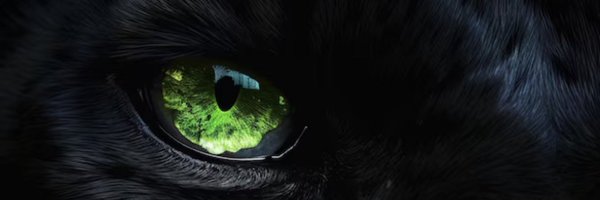 GilJackson11 Profile Banner