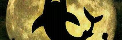 mike0329's profile banner image