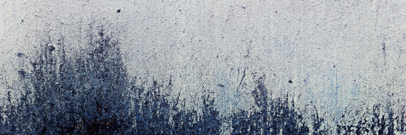 Andrea Passwater banner
