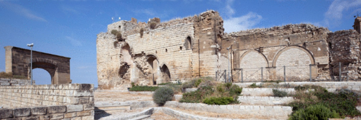 Fernando Latorre Dena banner