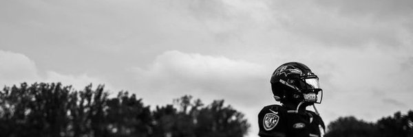 RealmRavens Profile Banner