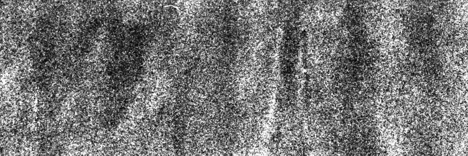 noah_adams's profile banner image