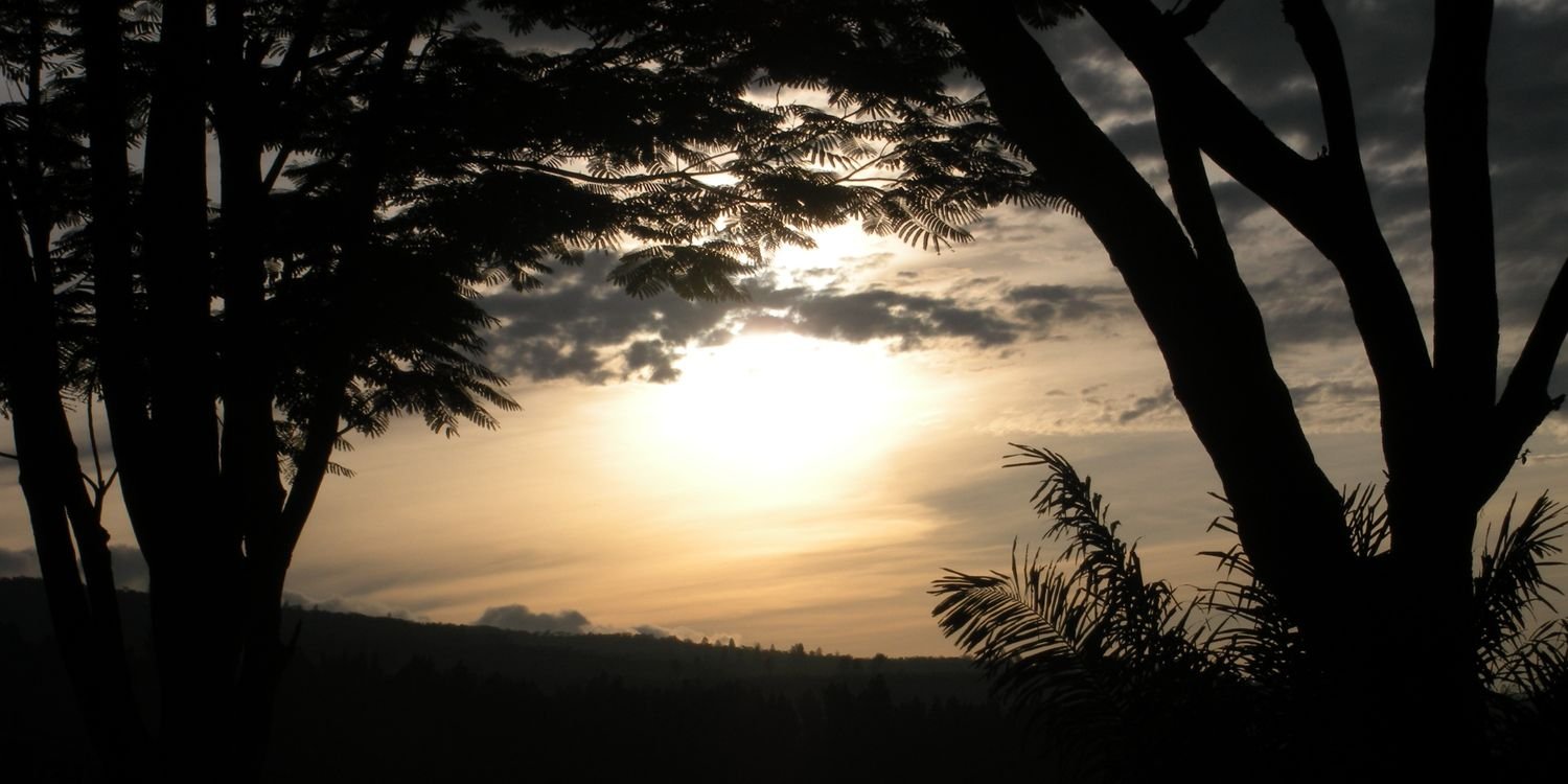 dsavitriew's profile banner image