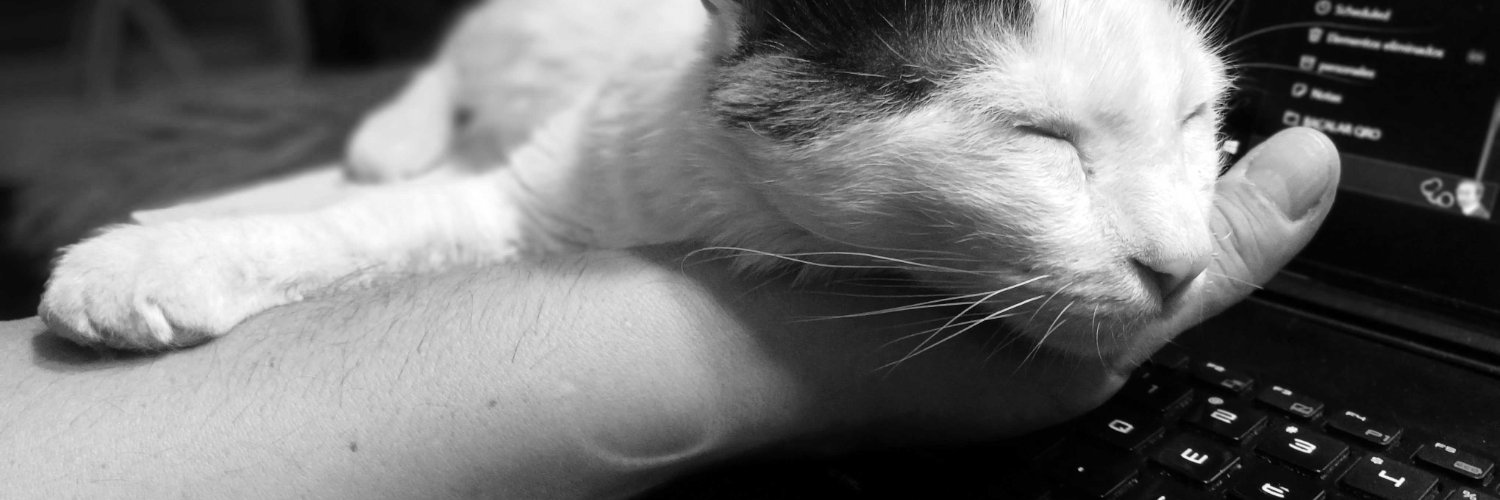 Guatimotzin's profile banner image