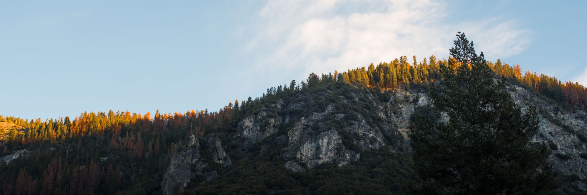 mattpat's profile banner image