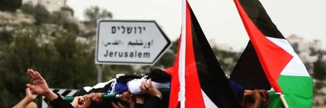 malek_hh's profile banner image