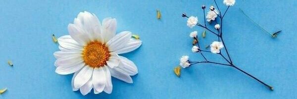 ivici's profile banner image