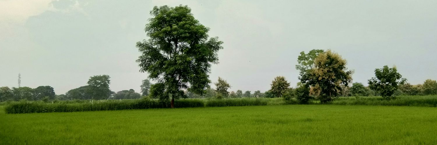 NeerajNanoti's profile banner image