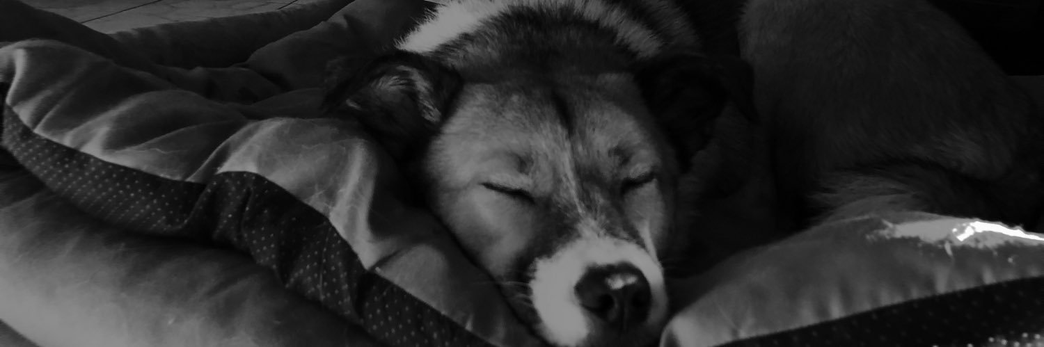 liwkaw's profile banner image