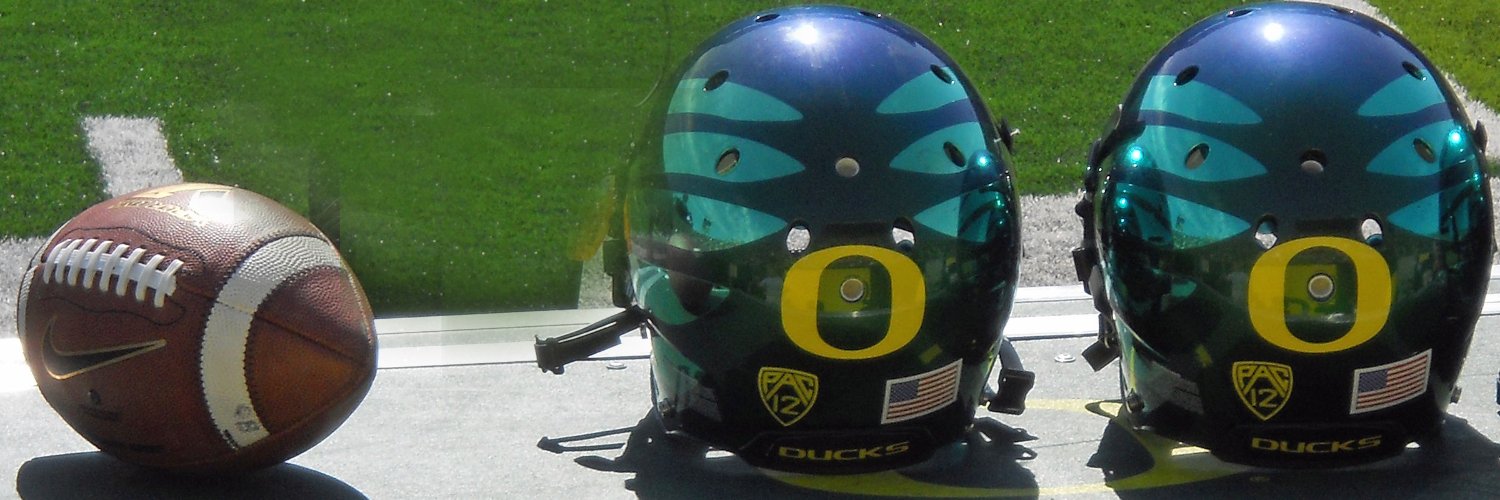 CenterFielder 🇺🇸🏈🦆 banner