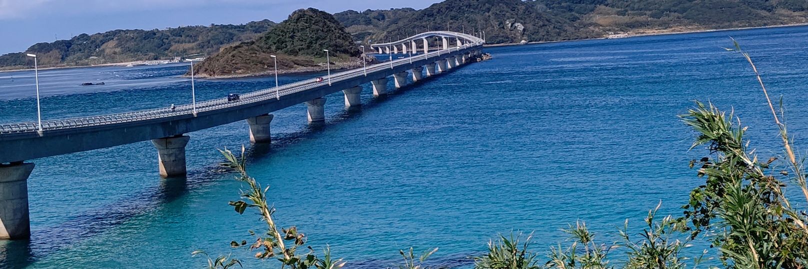 🌙ぽすくり🍳🌙 banner