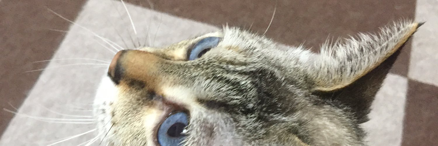 mopparajin's profile banner image
