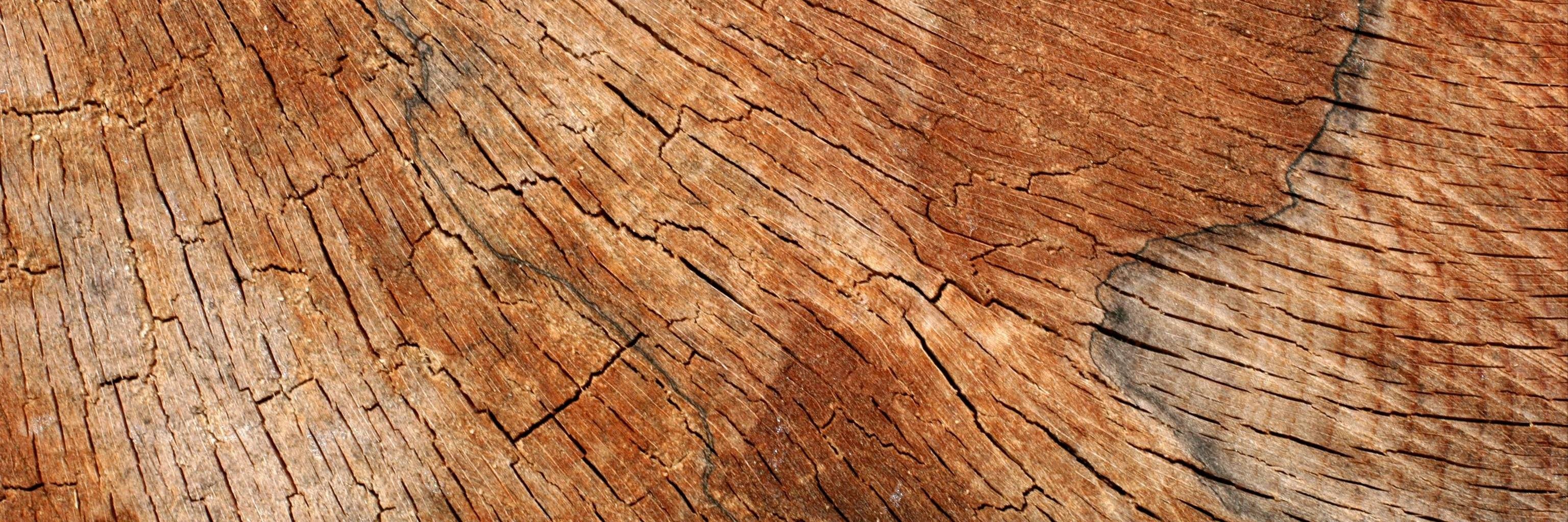 RoHetherington's profile banner image