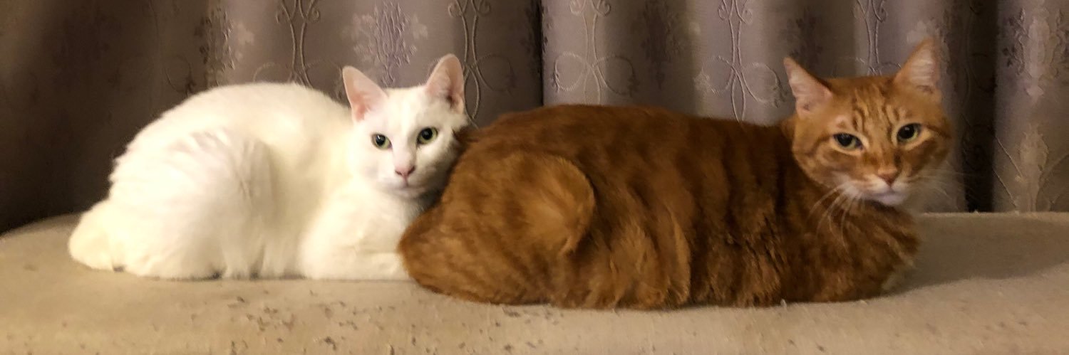 Thanks_Mom_'s profile banner image