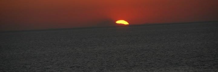 mertcelk's profile banner image