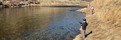 TonyFromShoshoni 307pool banner