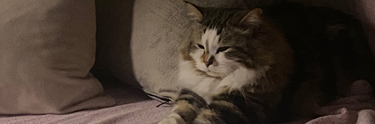 jessxually's profile banner image