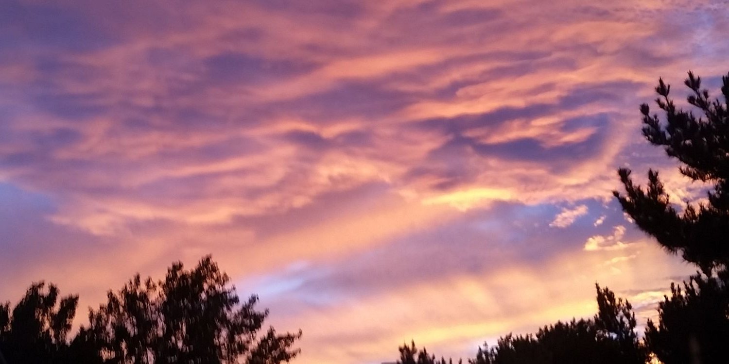 JoeyRules55's profile banner image